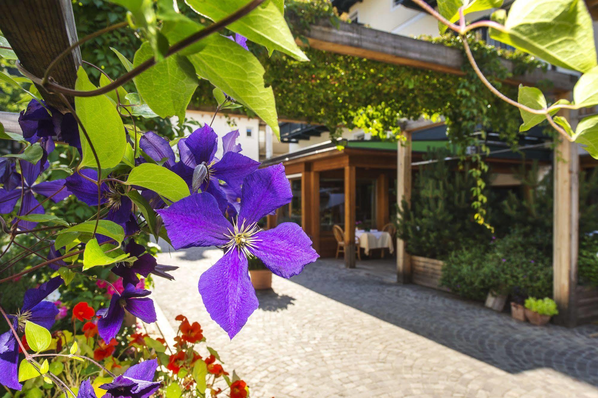 Hotel Drumlerhof Campo Tures Exterior foto